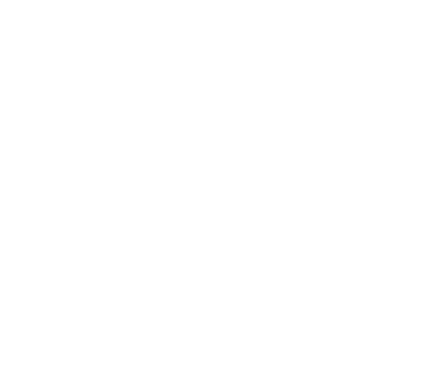 Coastal Security Logo
